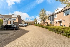 Albert Schweitzererf 6_02.jpg